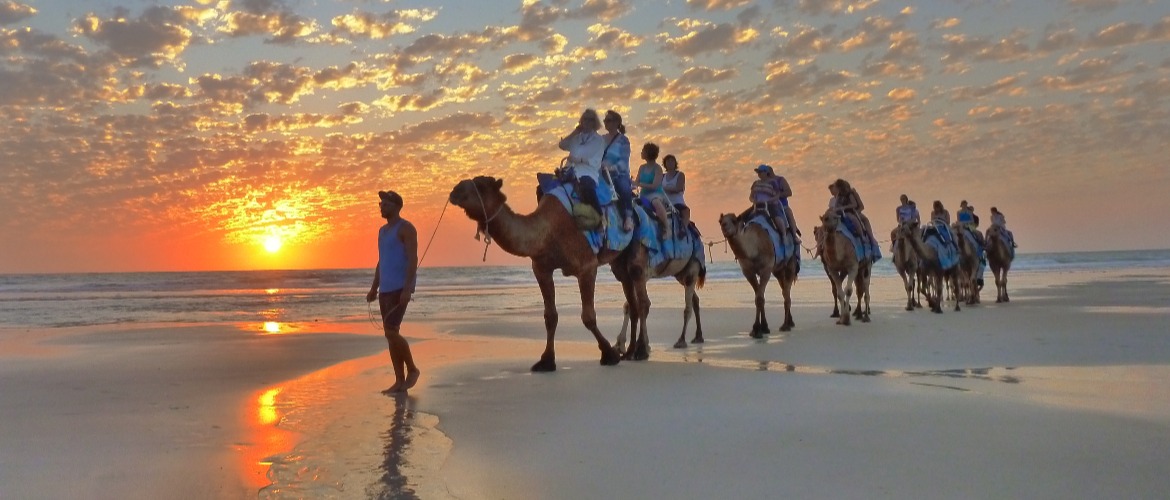 sundowner camel tours