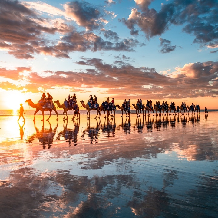sunset camel tours broome