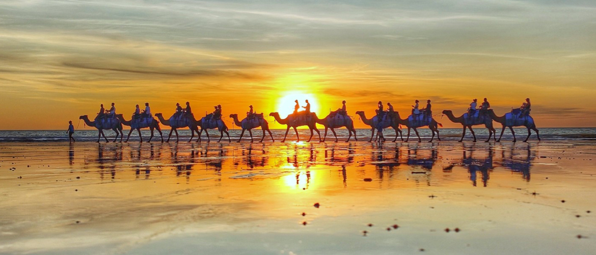 sundowner camel tours