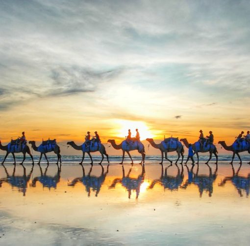 camel tours broome