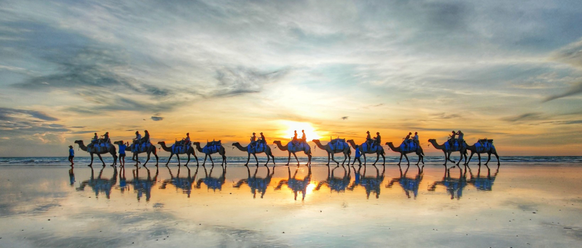 sundowner camel tours