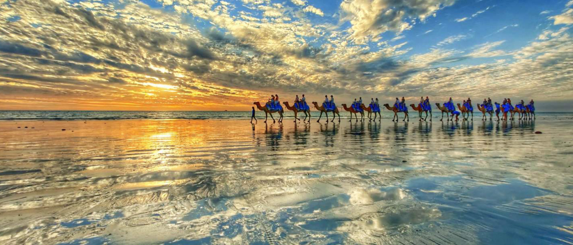 sundowner camel tours